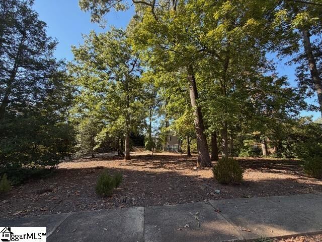 Property Photo:  124 Conestee Avenue  SC 29605 