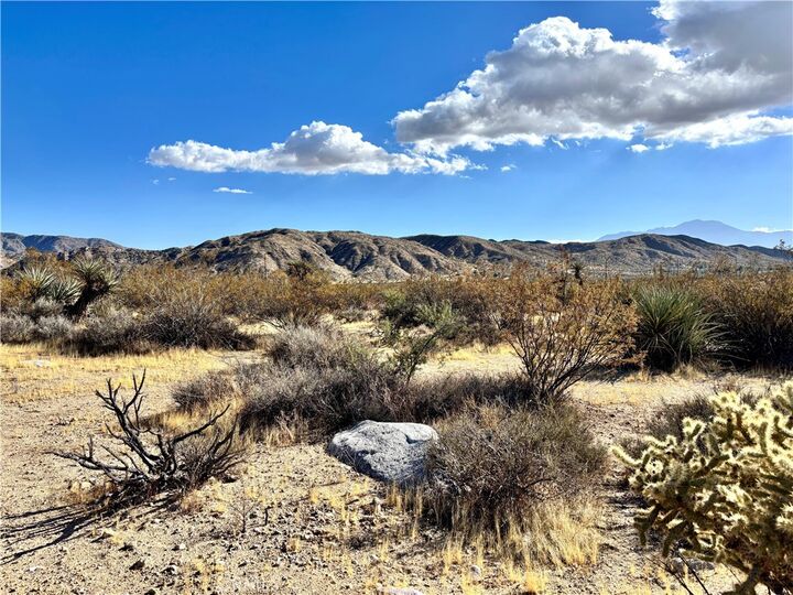 Property Photo: 4321 Cheyenne Trail CA 92256