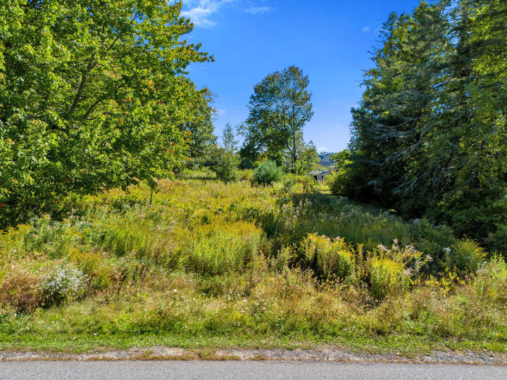 Property Photo: Tbd Apple Brook Drive 0 ME 04097