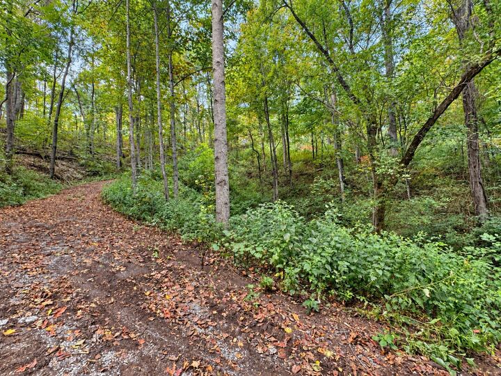 Property Photo:  0 Harbor Dr  TN 38569 