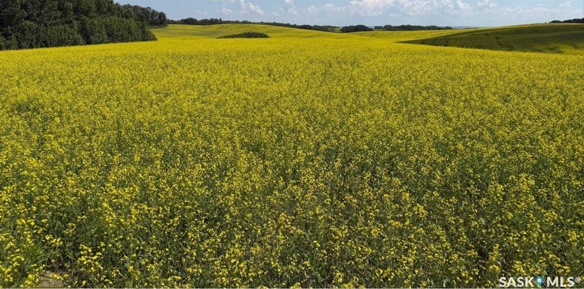 Property Photo:  Rural Address  SK S0A 4H0 