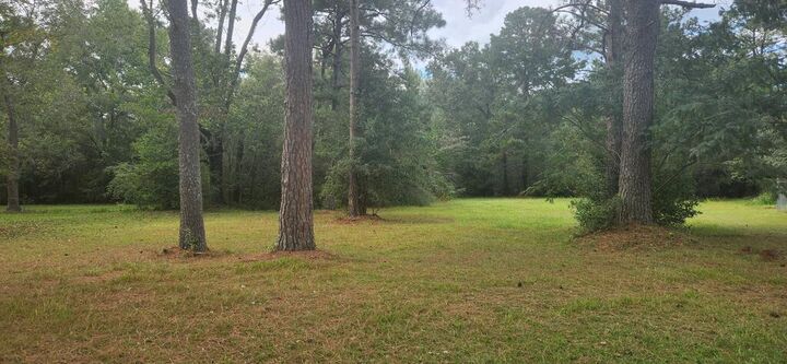 Property Photo: 317 E Spring 0 E Spring Street AL 36303