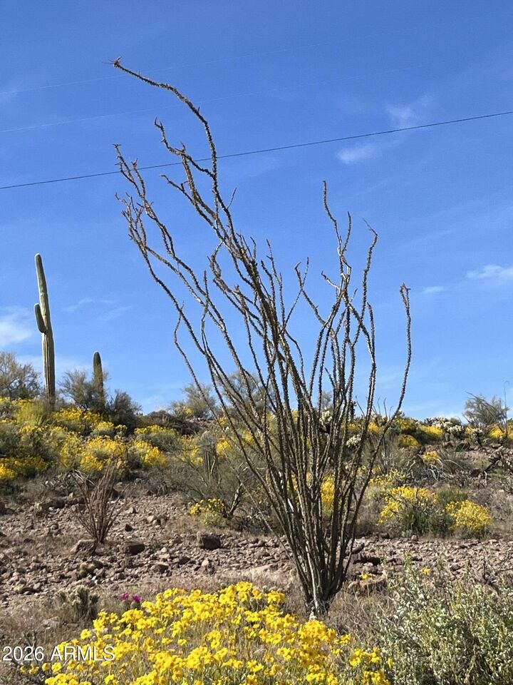 Property Photo:  0 E Angel Basin Road 3  AZ 85118 