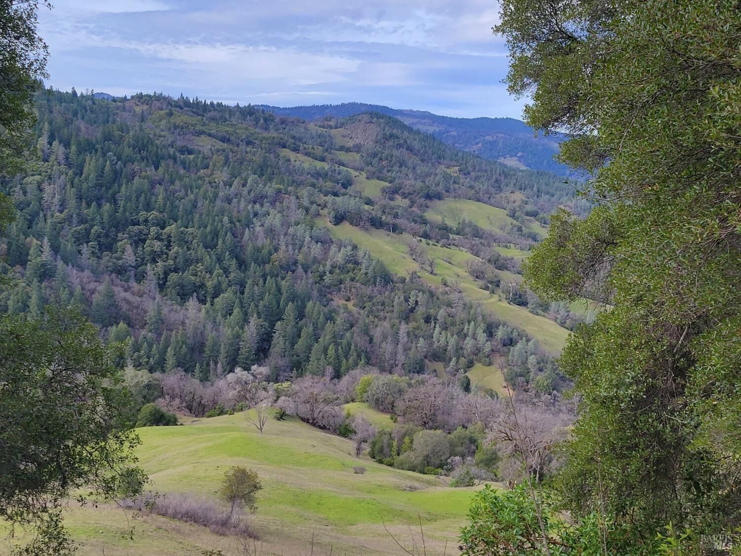 Property Photo:  0 Covelo Road  CA 95490 