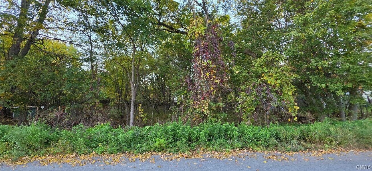 Property Photo:  32 And 34 Pine Street  NY 13045 