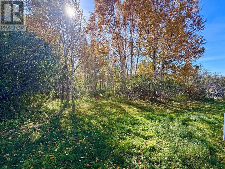 Property Photo:  120 High Street  NL A8A 1N5 