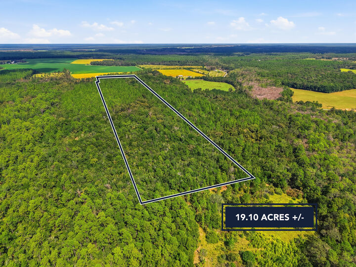 Property Photo:  Tbd Steele Road  FL 32531 