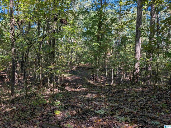 Property Photo:  0 Riverchase Drive 0  AL 35901 