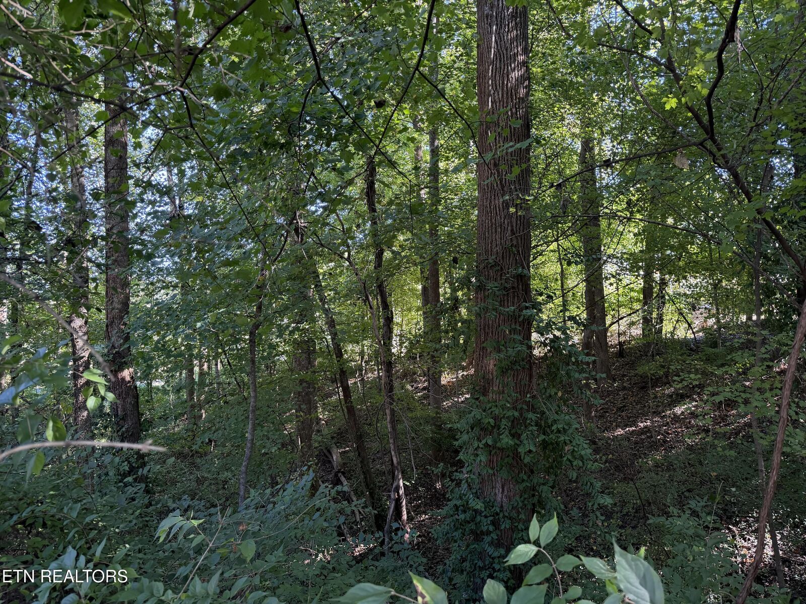 Property Photo:  0 Flint Rd  TN 37921 