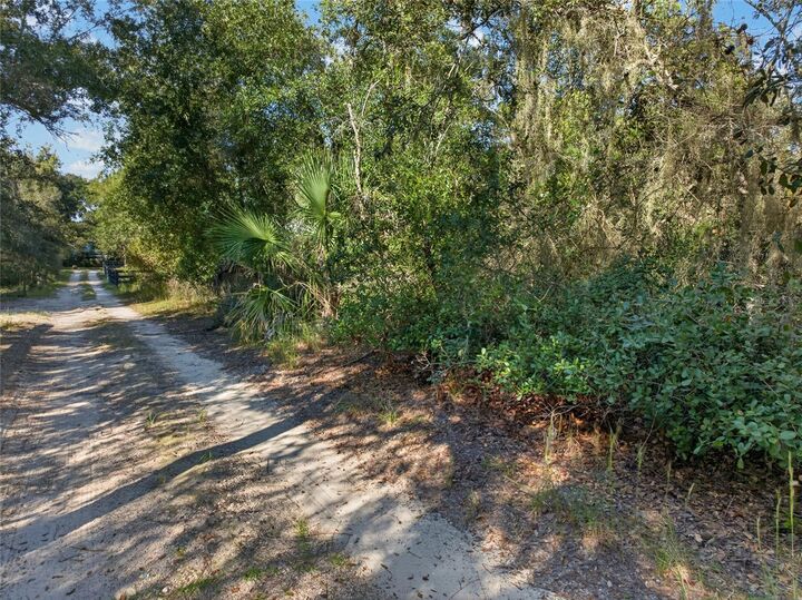 Property Photo:  431 Wilburton Drive  FL 32738 