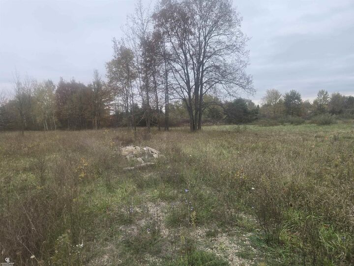 Property Photo:  0 Downey Vl Road  MI 48014 