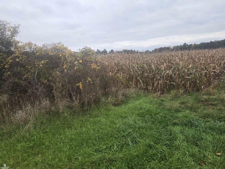 Property Photo: 00 Brown Vl Road MI 48006