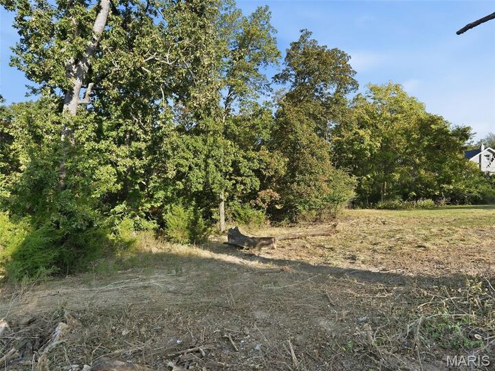 Property Photo:  0 Tomahawk Drive  MO 63010 