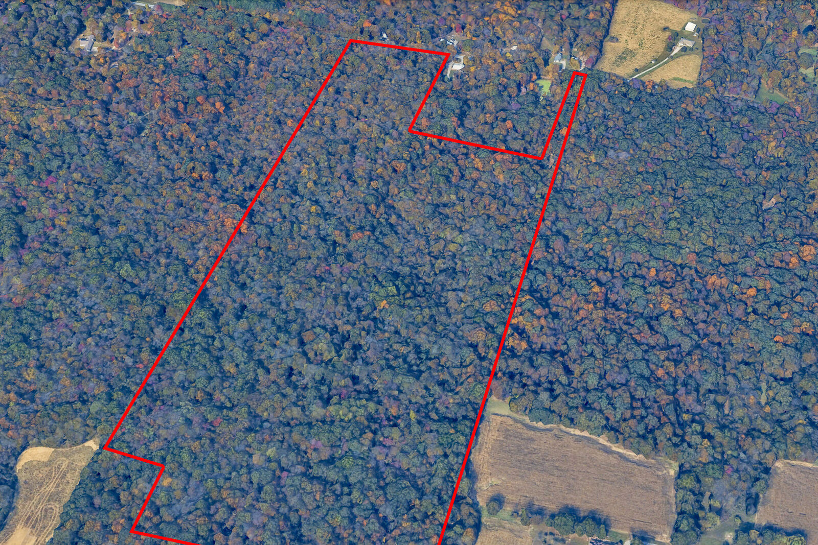 Property Photo: 000 Fowler Road IL 62959
