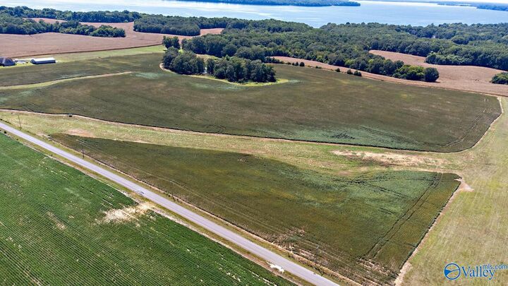 Property Photo:  Lot 0 Davis Road  AL 35611 
