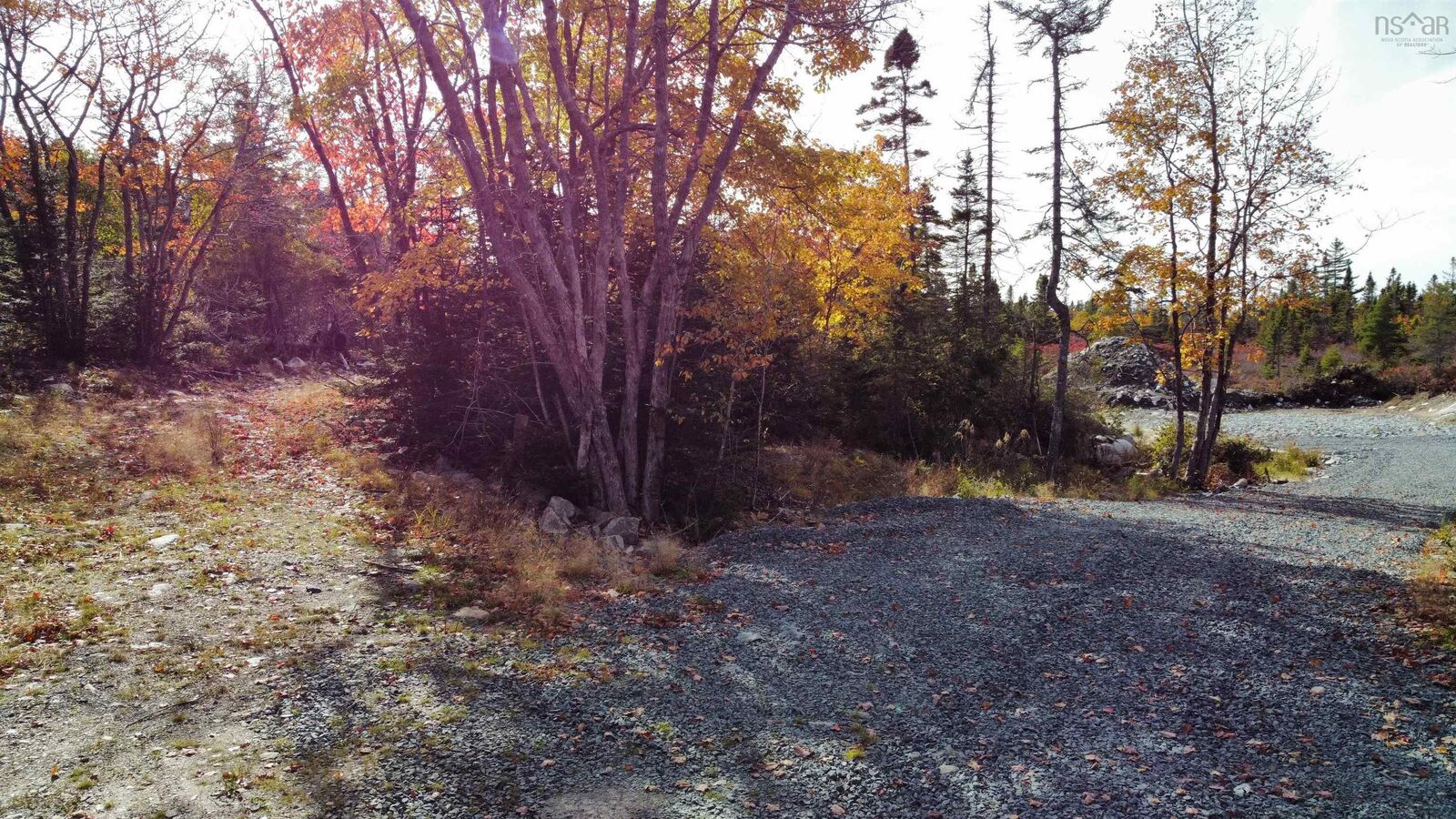 Property Photo:  153 Curto Court  NS B3V 0A6 