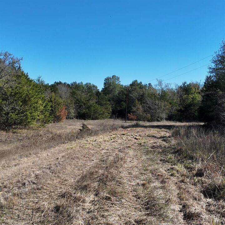 Property Photo: 1703 County Road 4901 TX 75496