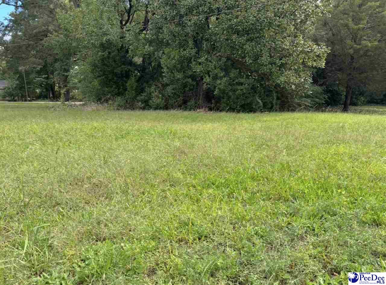 Property Photo:  1005 S 6th Street  SC 29550 