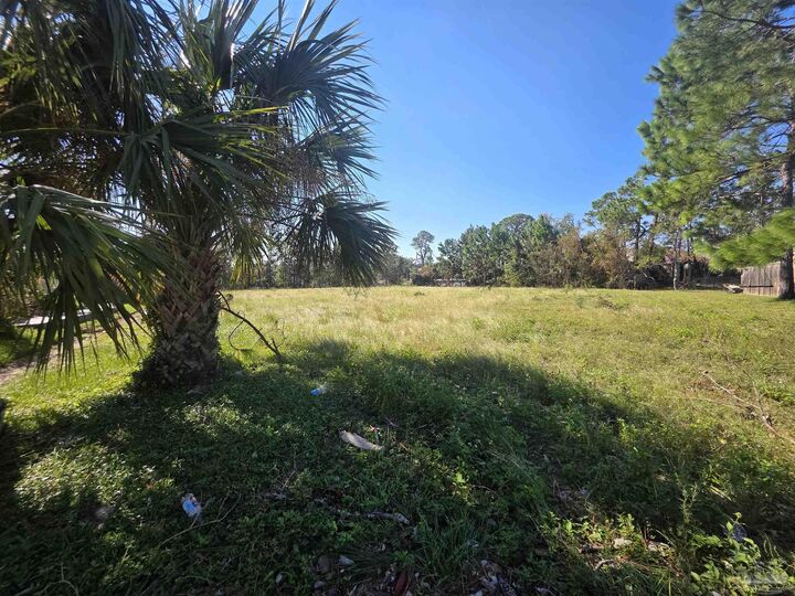 Property Photo:  995 Coronado Ct  FL 32563 