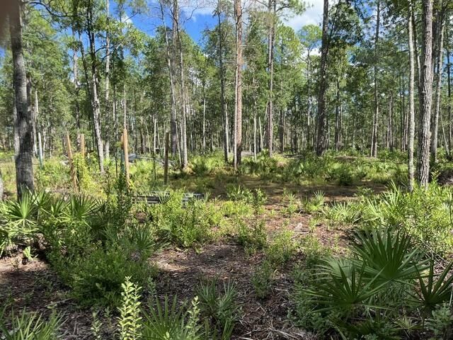 Property Photo:  119 Palmetto Point Ln  FL 32187 