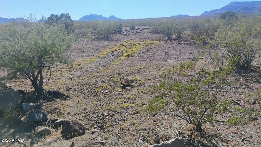 Property Photo:  0 N Blaisdell Road 8  AZ 86413 
