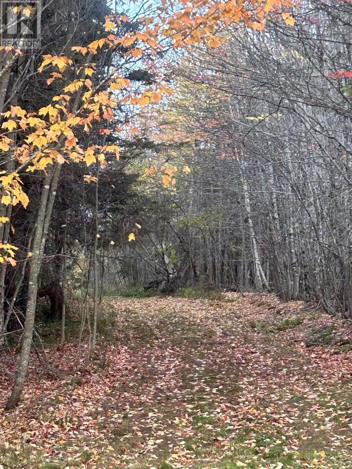 Property Photo:  Land Highway 307 Wentworth Ns  NS B0M 1Z0 
