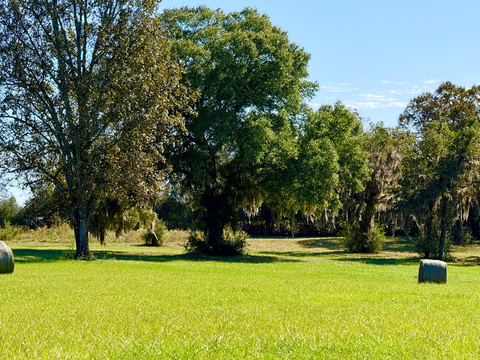 Property Photo: 15.97 Ac. Hwy 183 A Parcel B FL 32455