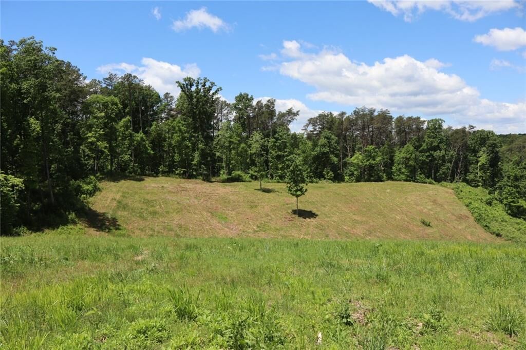 Property Photo: 0 Parksbrook Road GA 30540
