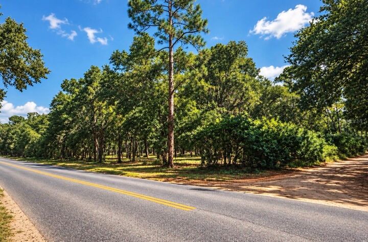 Property Photo: Rolling Ares Road FL 32159