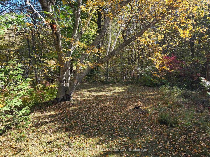 Property Photo: 107 Cliffcrest Drive ON M1M 2K1