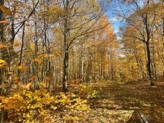 Property Photo:  425 Bartlett Lake Road  ON P0A 1C0 