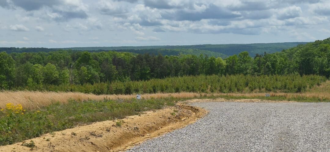 Property Photo: 47 Pineview Road TN 37327