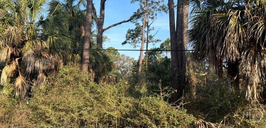 Property Photo:  1109 Solomon Avenue  GA 31328 