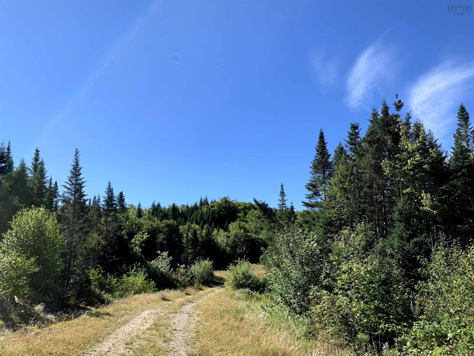 Property Photo:  Block 4 No 316 Highway  NS B0H 1J0 