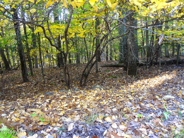 Property Photo: #355 &Amp 356 Eastwood Drive PA 18426