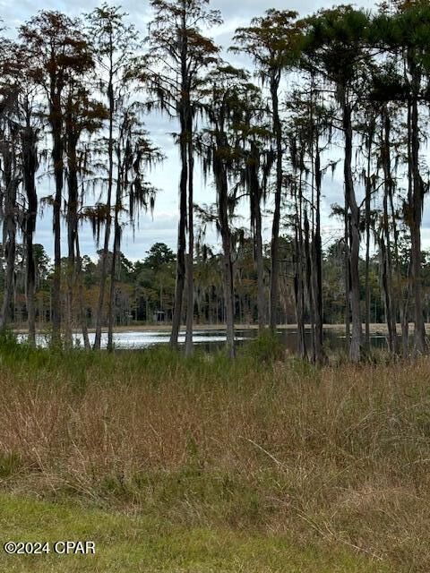 Property Photo:  00000 Everest Drive  FL 32428 
