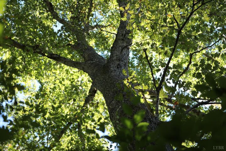 Property Photo:  0 Hollywood Road  VA 24522 