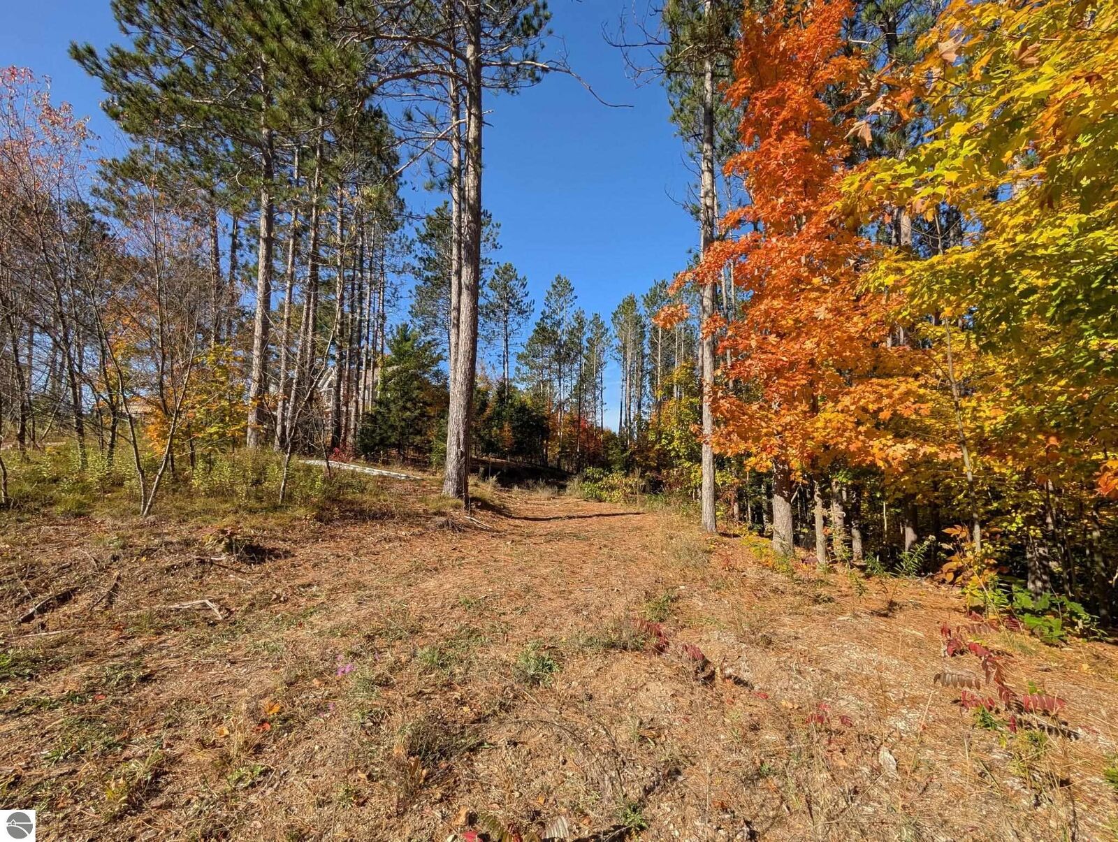 Property Photo: 767 Eden Street MI 49649