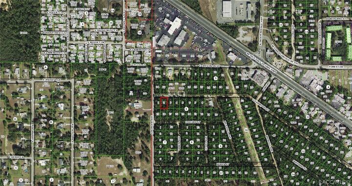 Property Photo:  3005 Clearwood Street  FL 34452 