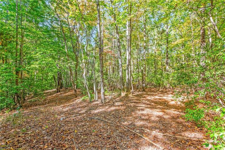 Property Photo:  7890 Dusty Trail  NC 27019 