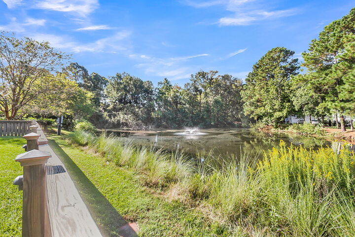 Property Photo: 341 Jardinere Walk SC 29464