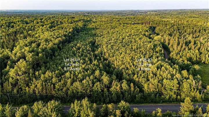 Property Photo:  Lot 25-01 Route 490  NB E1G 3R7 