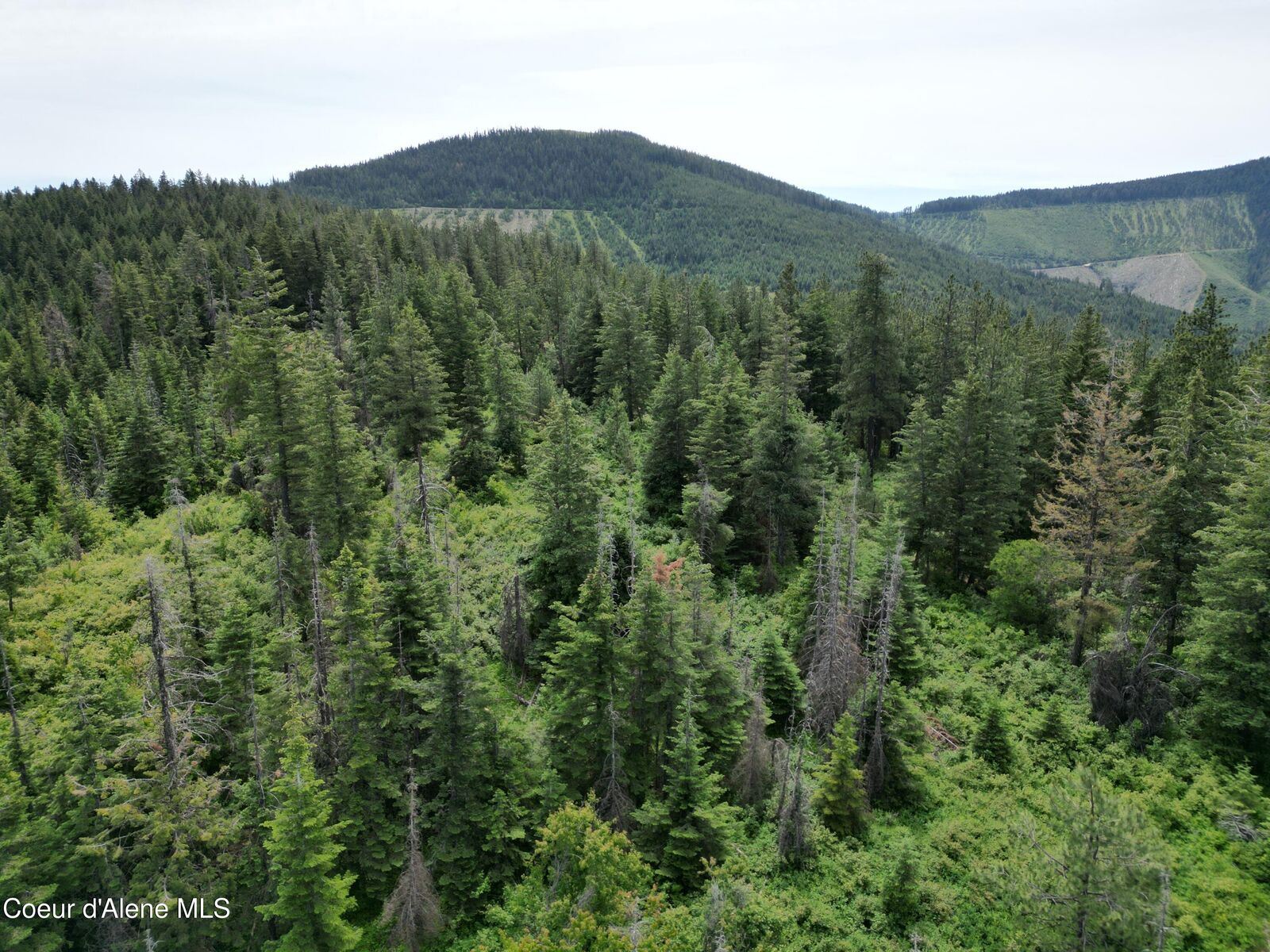 Property Photo:  Nka Initial Peak Rd  ID 83810 