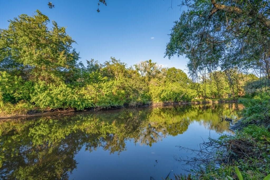 Property Photo: 1184 Weybridge Lane FL 34698