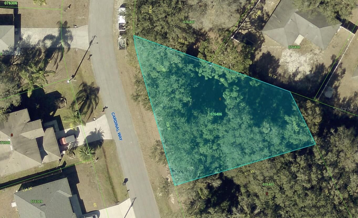 Property Photo:  807 Cardinal Way  FL 34759 
