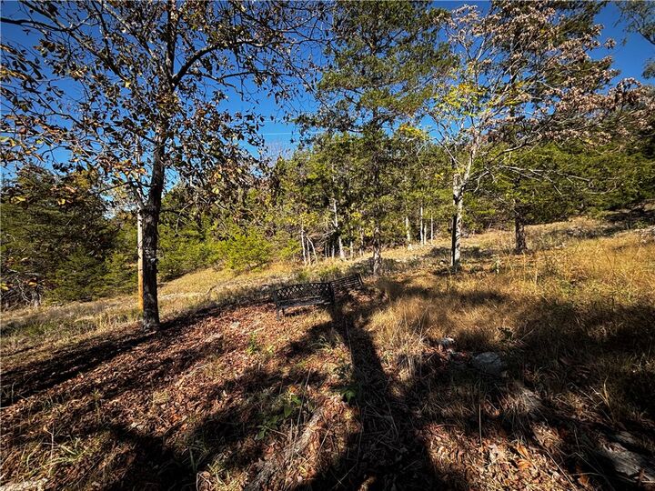 Property Photo: 111 Appaloosa Drive AR 72631