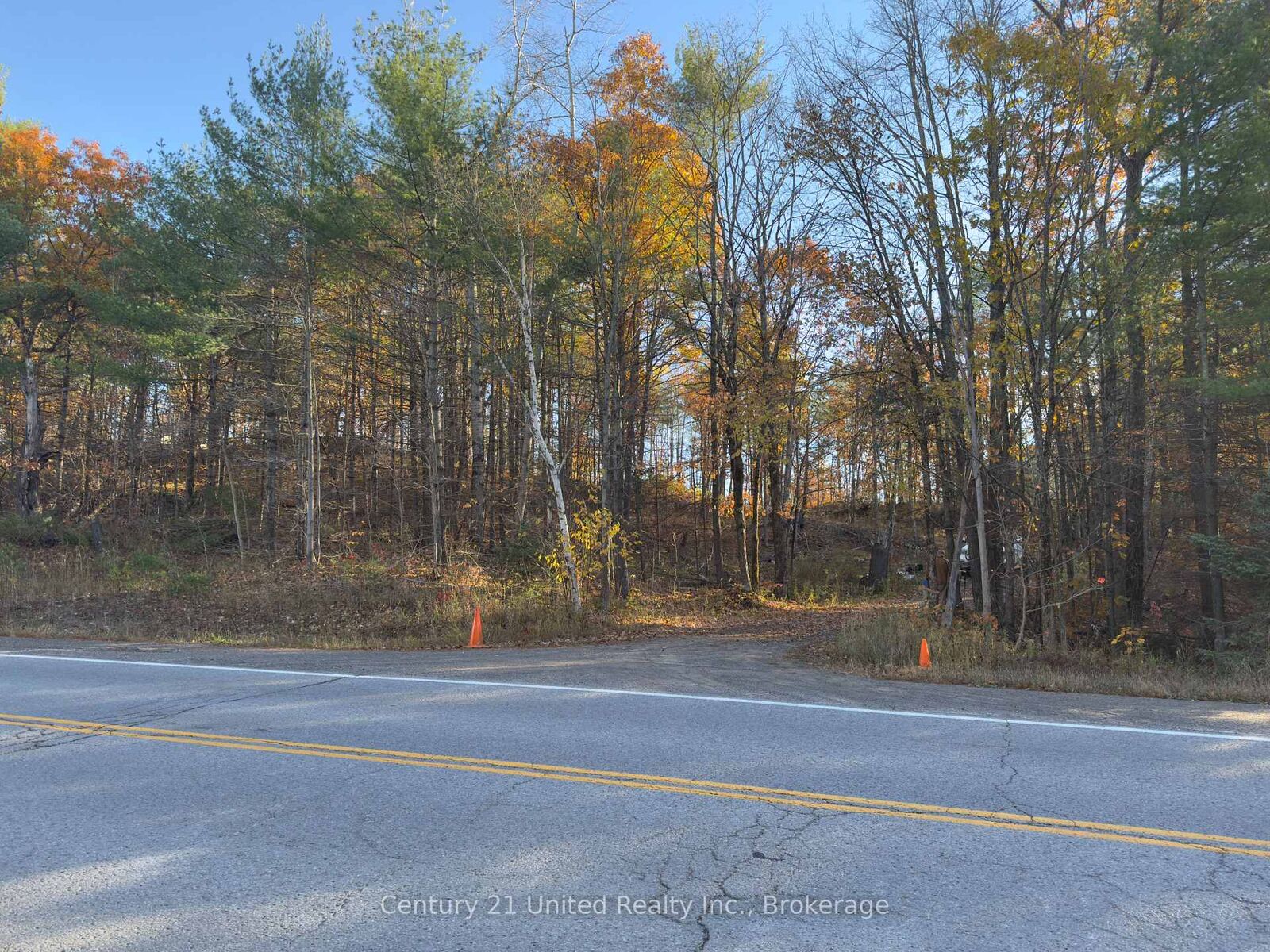 Property Photo:  3337 County Rd 46 N/A  ON K0L 1Z0 