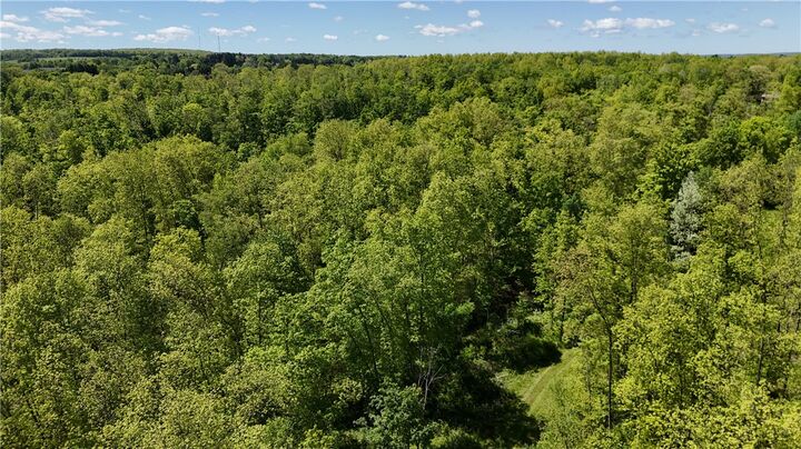 Property Photo: 0 Forest Avenue Extension NY 14701