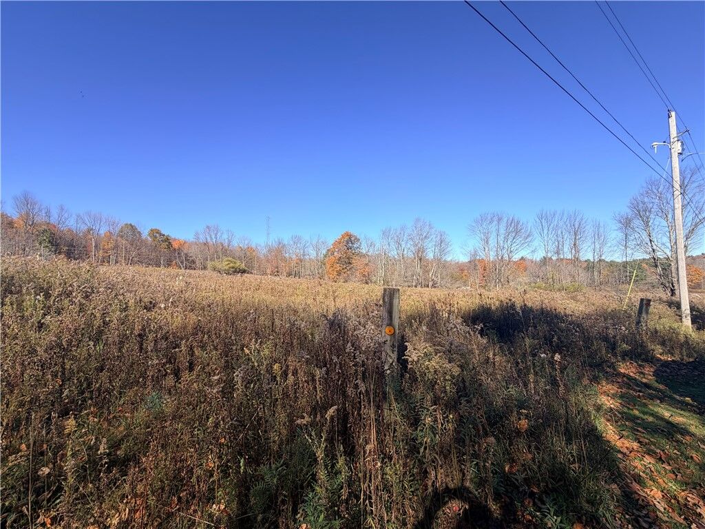 Property Photo: 0 Parker Schoolhouse Road Extension NY 13750