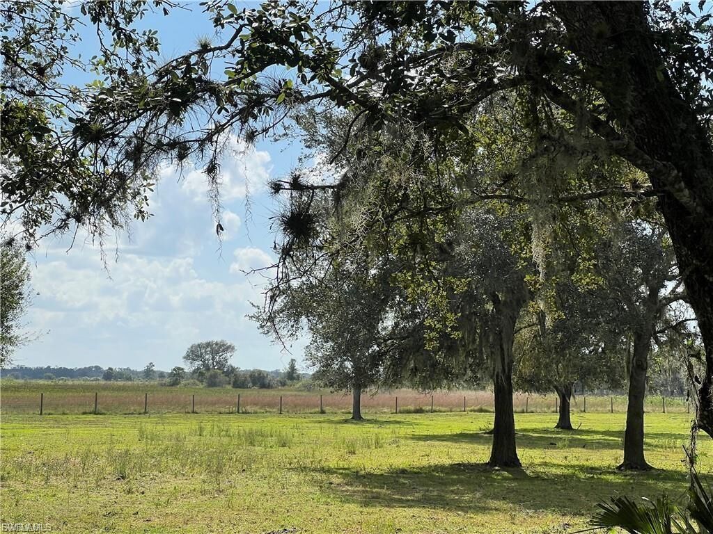 Property Photo: 1665 Pollywog Crossover Rd FL 33935